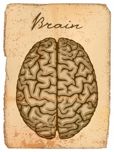 Aging brain